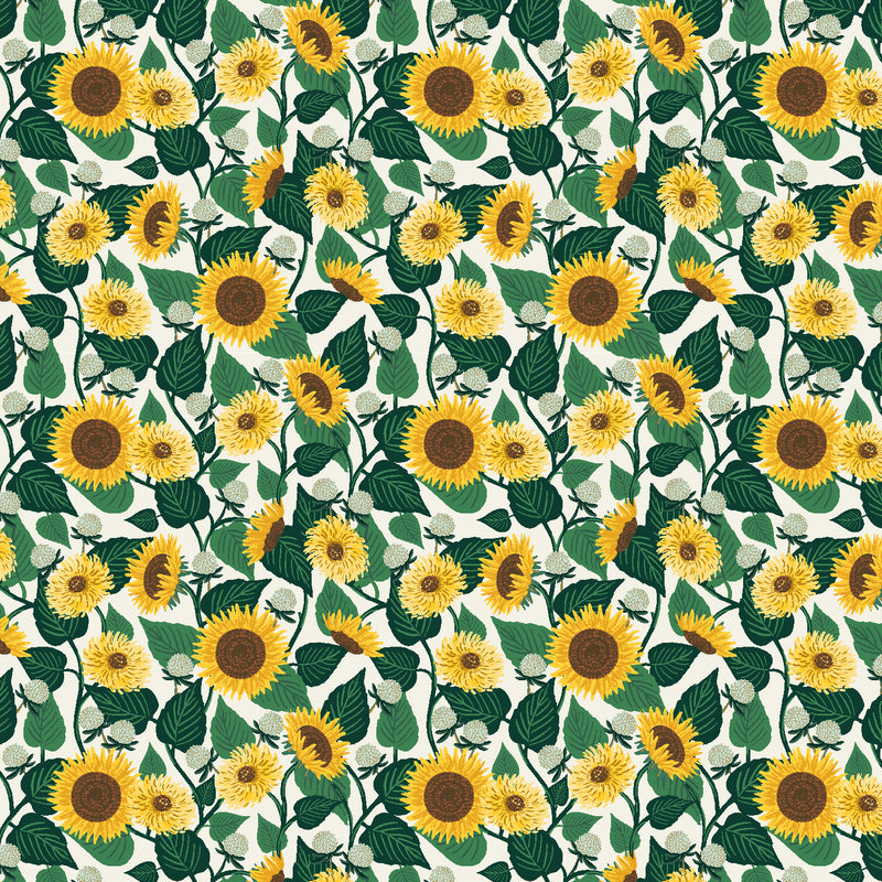 Curio - Sunflower Fields - Cream