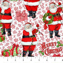 Vintage Christmas - Santa