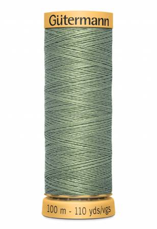 Gutermann Thread 100 m. 8010 Fern