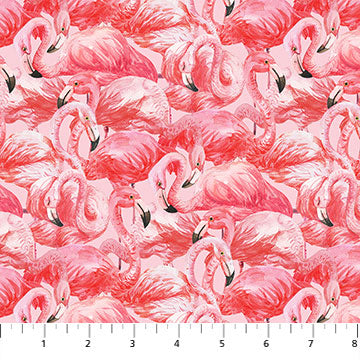 Flamingo Bay - Flamingos Packed