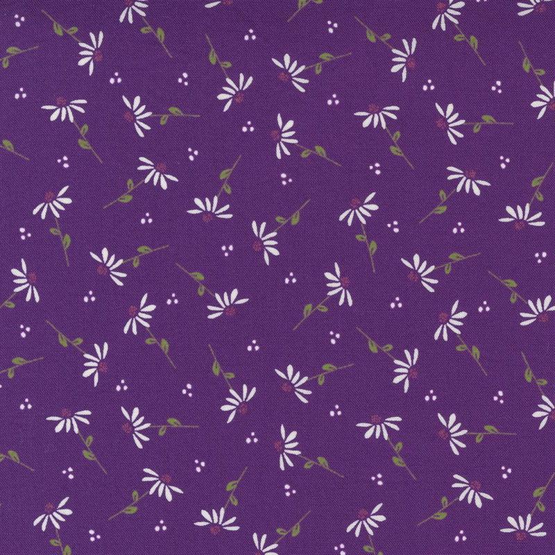 Sincerely Yours - Daisy on Purple