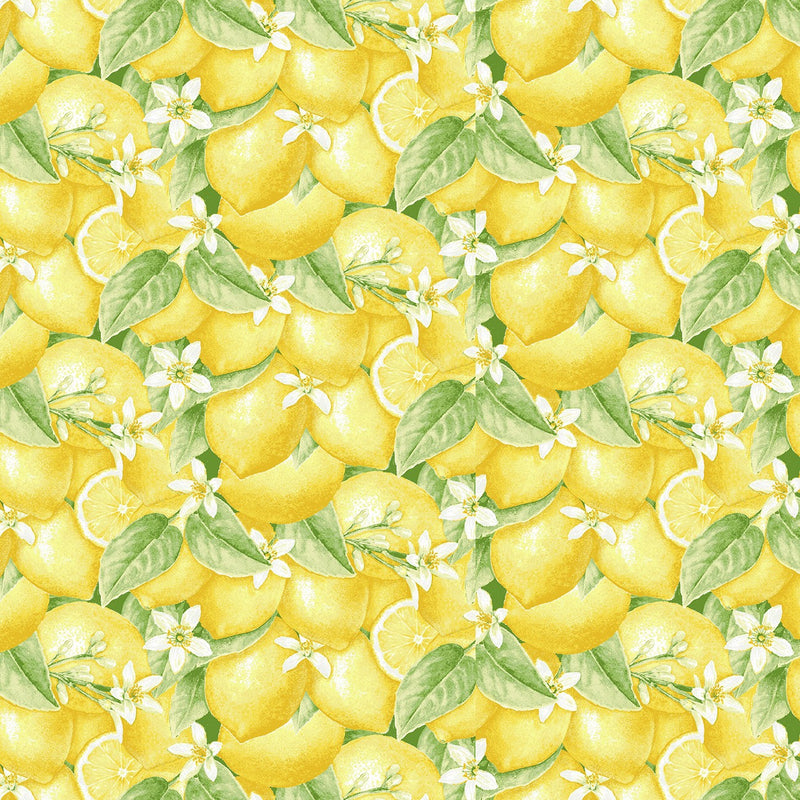 Fresh Picked Lemons - Yellow Packed Lemons