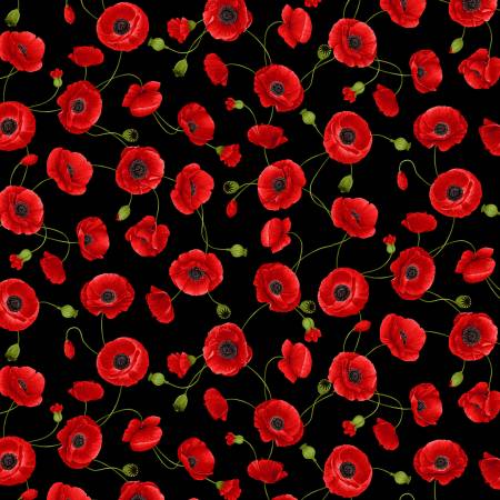 Wild Poppy -  Medium Poppies - Black