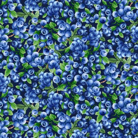 Blueberry Delight - Blueberry Bushes