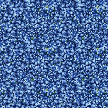 Blueberry Delight - Packed Blueberries