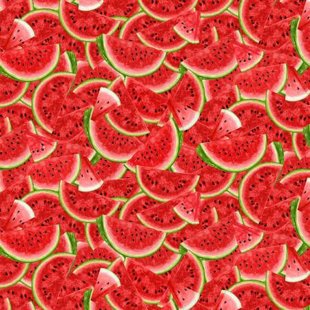 Watermelon Party - Slices