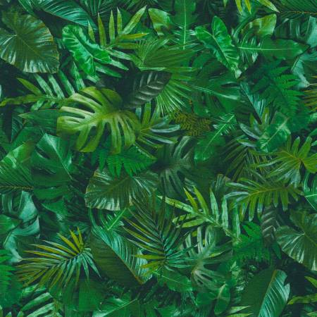 Imaginings - Tropical Leaves