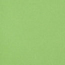 Kona Cotton - Asparagus